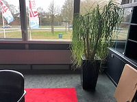 Conferentieopstelling + zuilen, planten en whiteboard - afbeelding 2 van  7