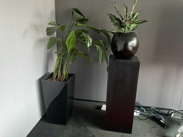 Conferentieopstelling + zuilen, planten en whiteboard - afbeelding 3 van  7