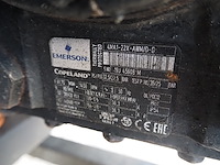 Copeland - afbeelding 9 van  9