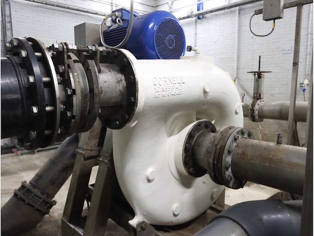 Cornell 10 nhpp-2 levensmiddelen pomp (3x) - afbeelding 1 van  6