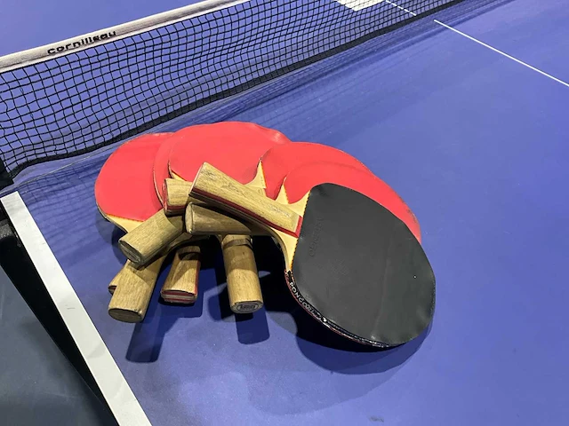 Cornilleou tafeltennis tafel - afbeelding 5 van  5
