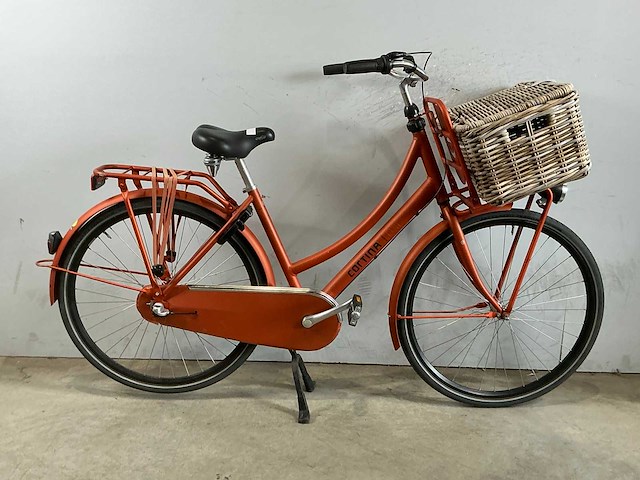 Cortina u4 transportfiets - afbeelding 1 van  4