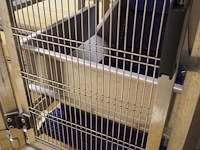 Cosmo food machinery s.r.l. - afbeelding 7 van  7