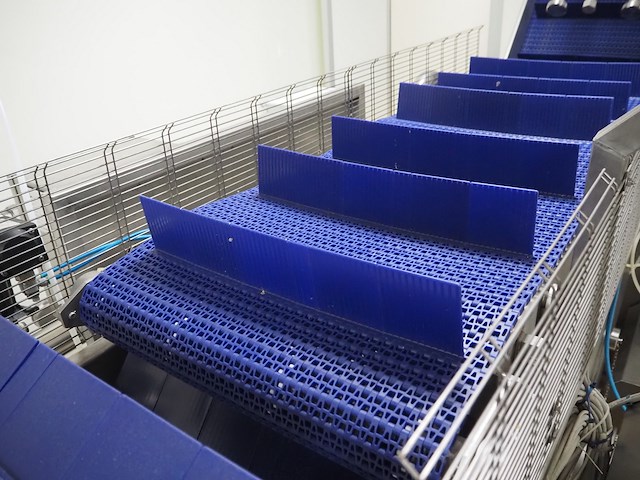 Cosmo food machinery s.r.l. - afbeelding 6 van  20