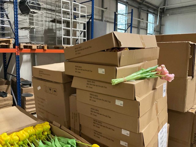 Creativity kunsttulpen - afbeelding 3 van  3