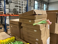 Creativity kunsttulpen - afbeelding 3 van  3