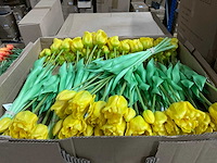 Creativity kunsttulpen - afbeelding 1 van  3