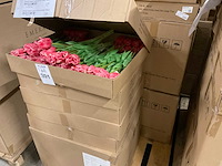 Creativity kunsttulpen - afbeelding 4 van  4