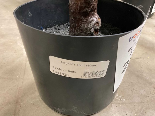Creativity magnolia kunstplant (5x) - afbeelding 4 van  5