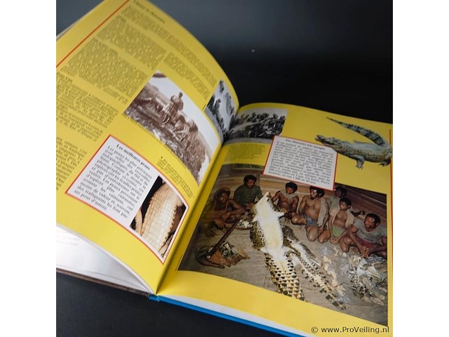 Crocodiles and alligators - afbeelding 4 van  5