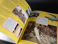 Crocodiles and alligators - afbeelding 4 van  5