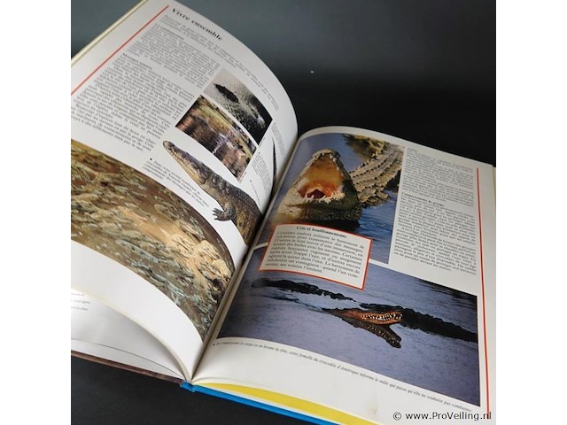 Crocodiles and alligators - afbeelding 5 van  5