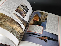 Crocodiles and alligators - afbeelding 5 van  5