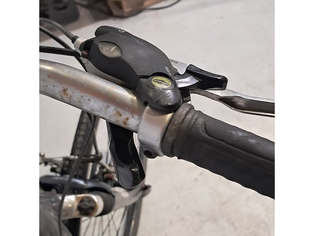 Crossbike, wheeler, ds-2 - afbeelding 8 van  11