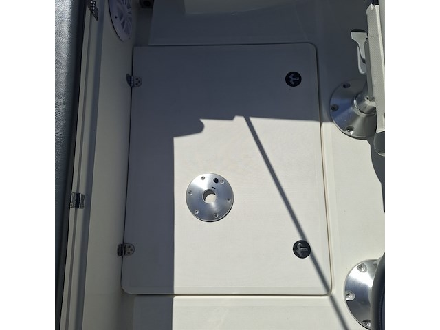 Cruiser, galia, 525, 2015, met buitenboordmotor evinrude | 115 pk - afbeelding 31 van  77