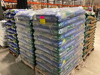 Culvita hydrokorrels - afbeelding 1 van  4