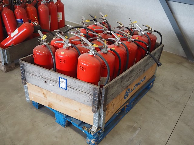 Cupola - afbeelding 1 van  5