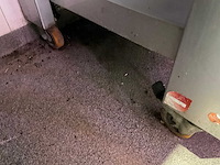 Cuppone - evolution 835/2cd-c5-cp - mobiele pizza-oven - afbeelding 11 van  14