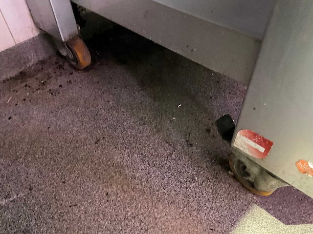 Cuppone - evolution 835/2cd-c5-cp - mobiele pizza-oven - afbeelding 11 van  14