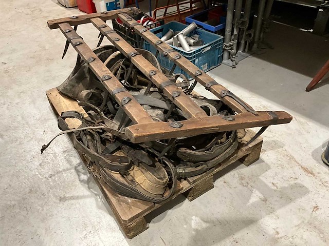 Curiosia - afbeelding 4 van  5