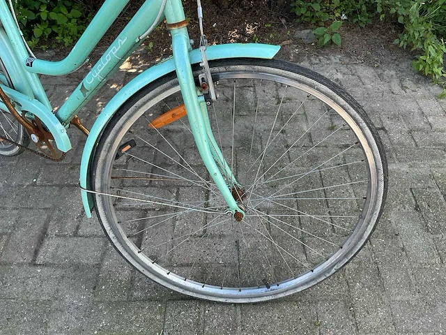 Cyclops meisjesfiets - afbeelding 5 van  10