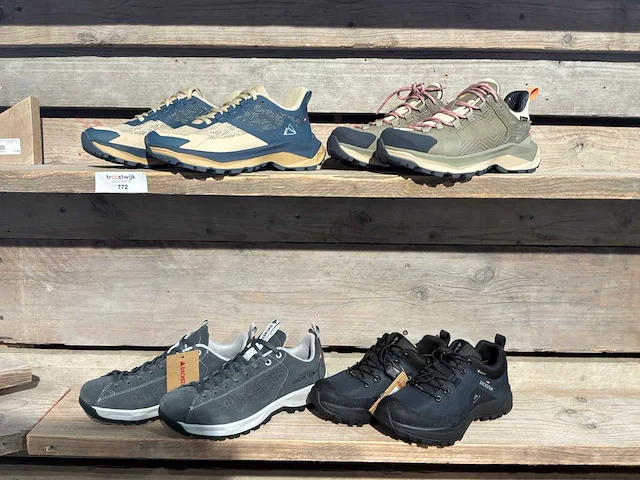 Dachstein wandelschoenen (4x) - afbeelding 1 van  5
