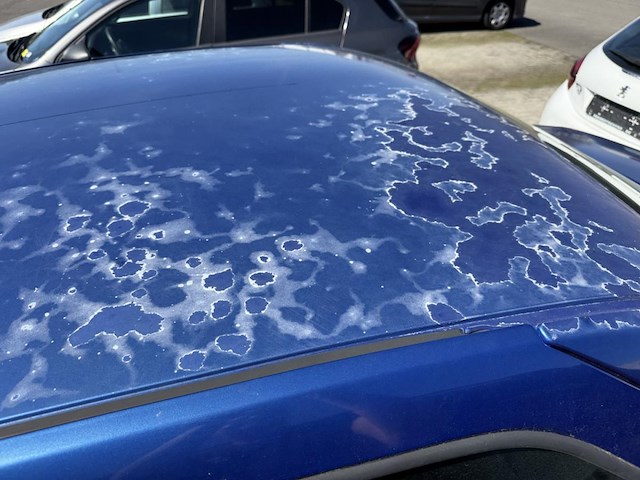 Dacia logan logan 1.6i laureate 87, 2006 - afbeelding 24 van  30