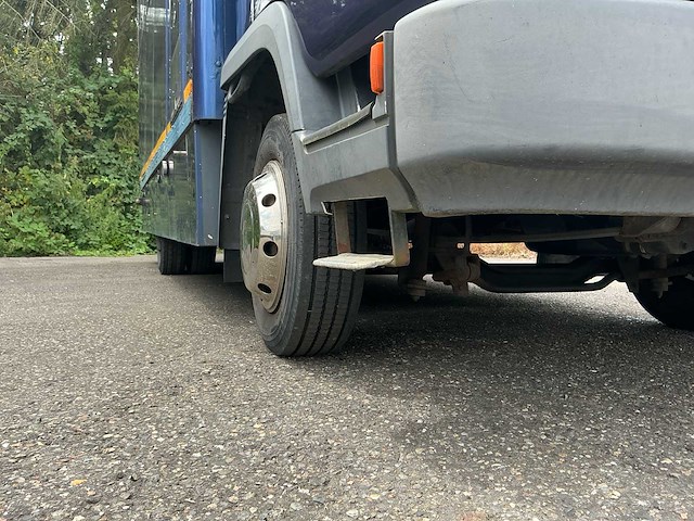 Daf - ae08cn - gesloten vrachtwagen / paardenwagen - afbeelding 7 van  40