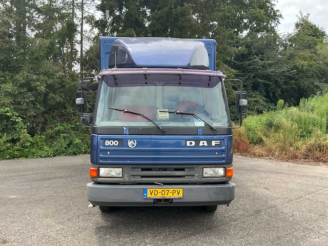 Daf - ae08cn - gesloten vrachtwagen / paardenwagen - afbeelding 12 van  40