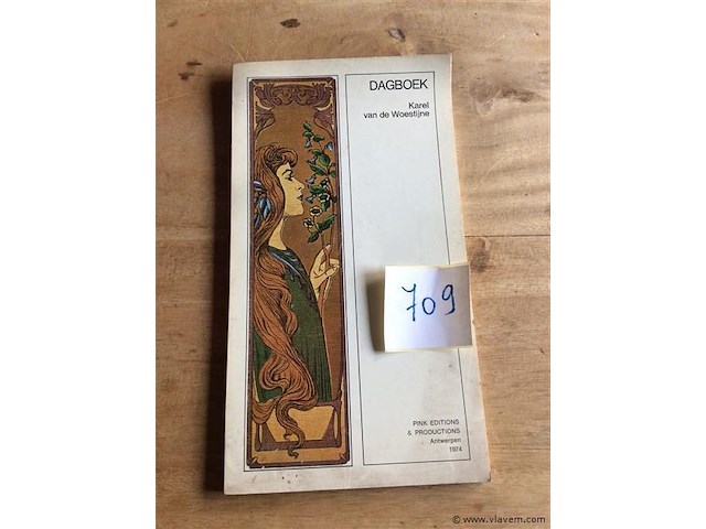 Dagboek karel van de woestijne - afbeelding 1 van  3