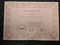 Dagobert duck beeld, lior24, zilver/groen/goud/zwart