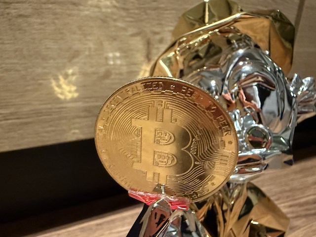 Dagobert duck btc beeld, lior24 - afbeelding 2 van  4