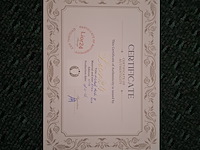 Dagobert duck champagne (42 cm)
