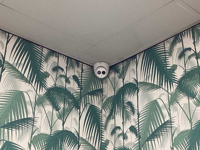 Dahua 14-delige beveiligingcamerasysteem met nrv recorder en 40”-samsung televisie - afbeelding 16 van  19