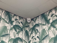 Dahua 14-delige beveiligingcamerasysteem met nrv recorder en 40”-samsung televisie - afbeelding 16 van  19