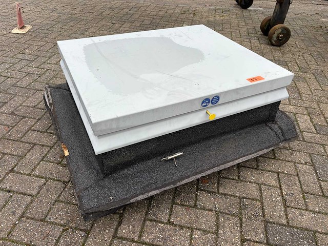 Dak noodluik - afbeelding 1 van  4