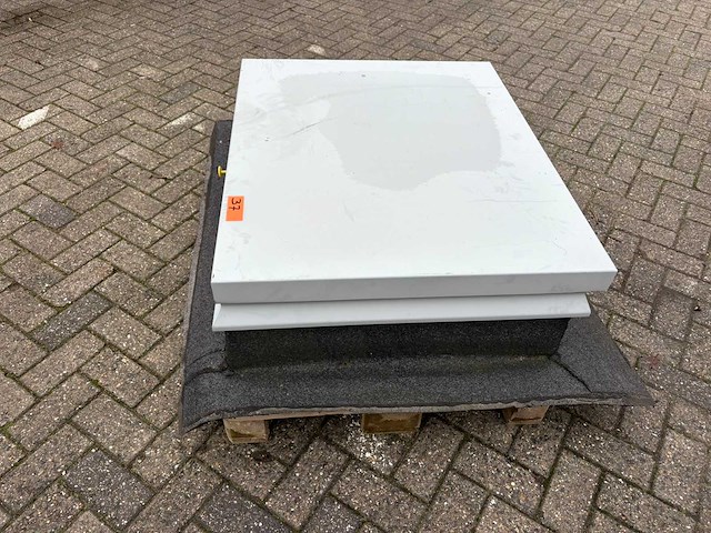 Dak noodluik - afbeelding 2 van  4