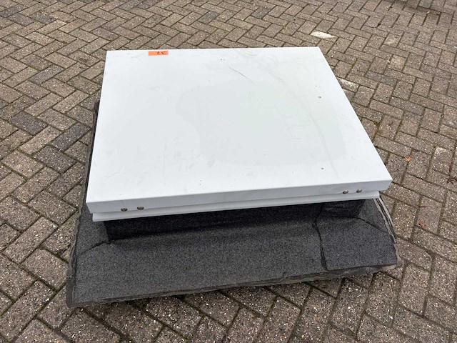 Dak noodluik - afbeelding 3 van  4