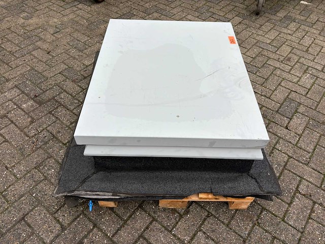 Dak noodluik - afbeelding 4 van  4