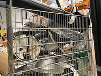 Dakmateriaal - afbeelding 3 van  8