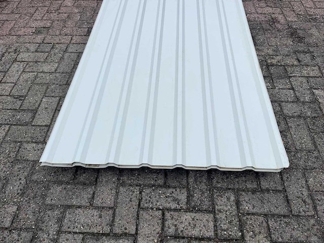 Dakplaten 250x110cm 25 stuks 69m2 - afbeelding 2 van  4