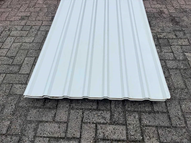 Dakplaten 250x110cm 25 stuks 69m2 - afbeelding 2 van  4