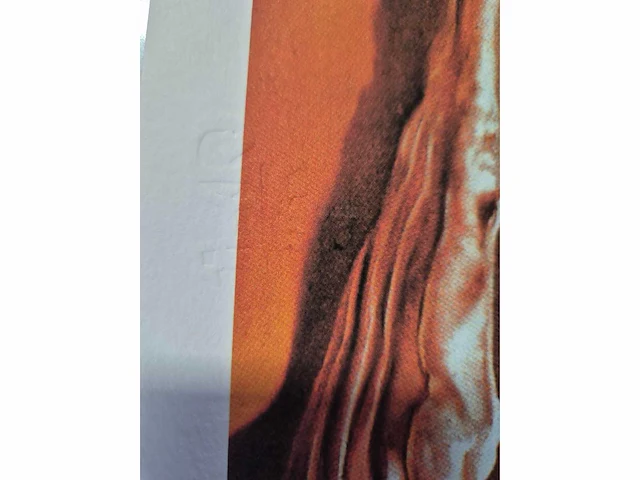 Dali - litho - 40 x 50 - afbeelding 4 van  4