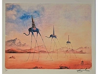 Dali - litho - 50 x 40
