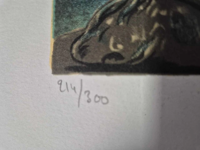 Dali - litho - 75 x 52 - afbeelding 2 van  3