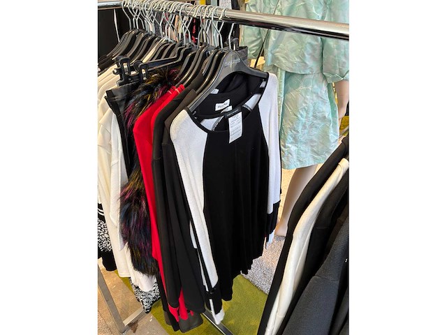 Dames blouses, t-shirts en tops (115 stuks) - afbeelding 14 van  22