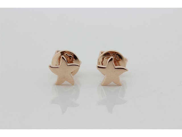 Dames oorbellen dodo - afbeelding 1 van  2