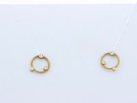 Dames oorbellen niessing, artist cirkel - afbeelding 1 van  4