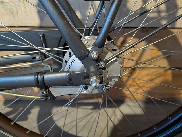 Dames stadsfiets, cortina, u5 - afbeelding 18 van  18