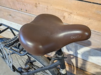 Dames transportfiets, sparta, mojo - afbeelding 11 van  12